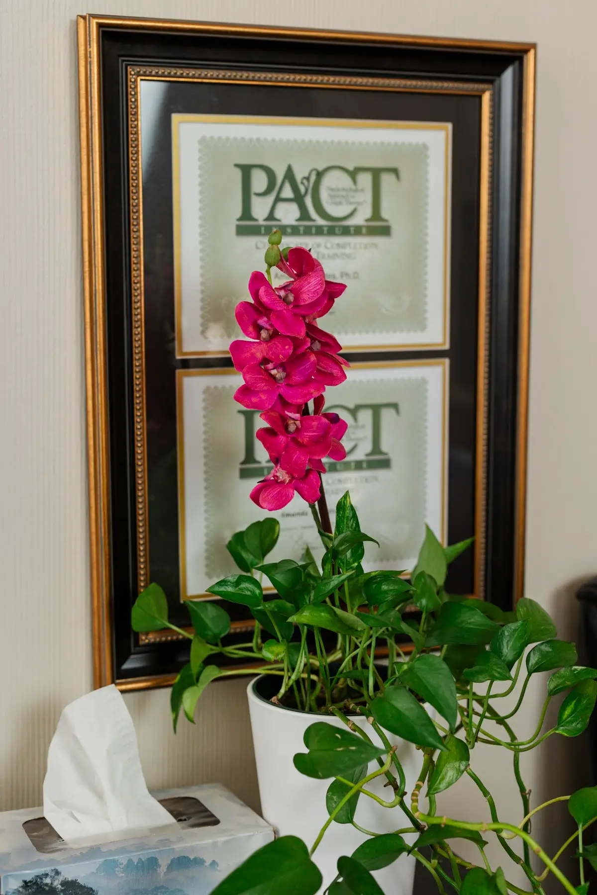 Dr. Amanda Moates, PhD. PLLC — Psychotherapy in Spring Valley Rd, Dallas