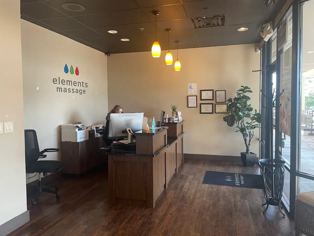 Elements Massage — Massage Therapy in E Mockingbird Ln #231, Dallas