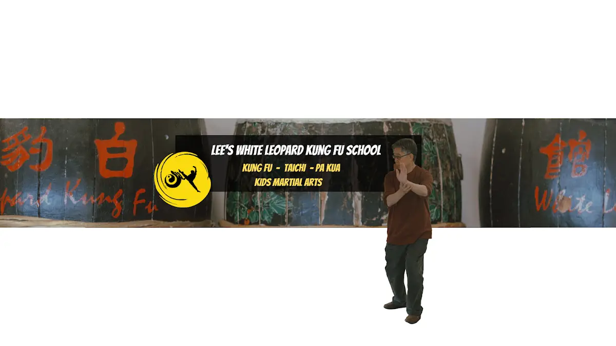 Lee's White Leopard Kung-Fu — Yoga, Tai Chi & Pilates in Arapaho Rd Suite #753, Dallas