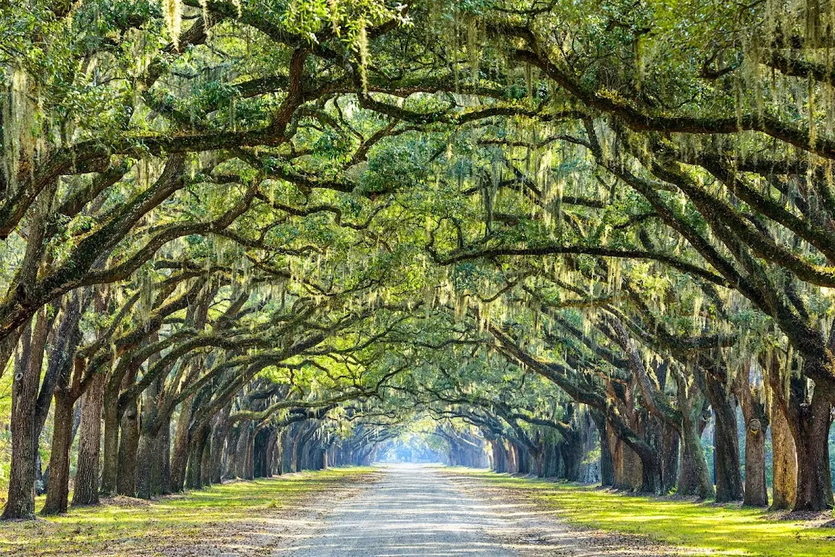 Past Life Regression Dallas — Hypnotherapy & NLP in Richardson, Dallas