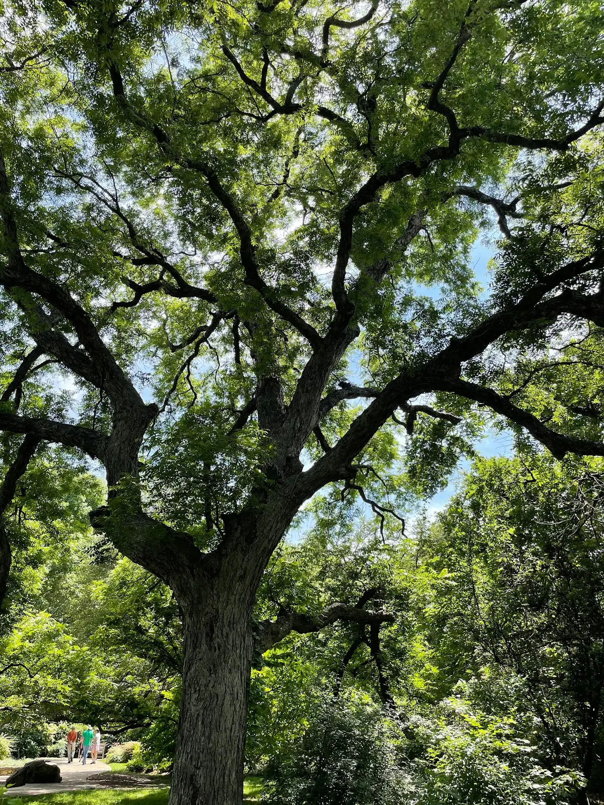 PATH Counseling and Wellness — Psychotherapy in Hillcrest Plaza Dr, Dallas