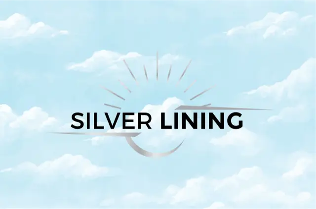The Silver lining coach — Counsellors & Mentors in Markville Dr, Dallas