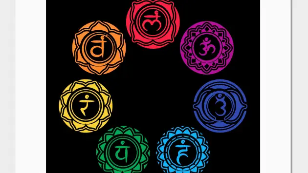 Thee Healing Goddess LLC — Reiki & Energy Medicine in Abrams Rd #212, Dallas