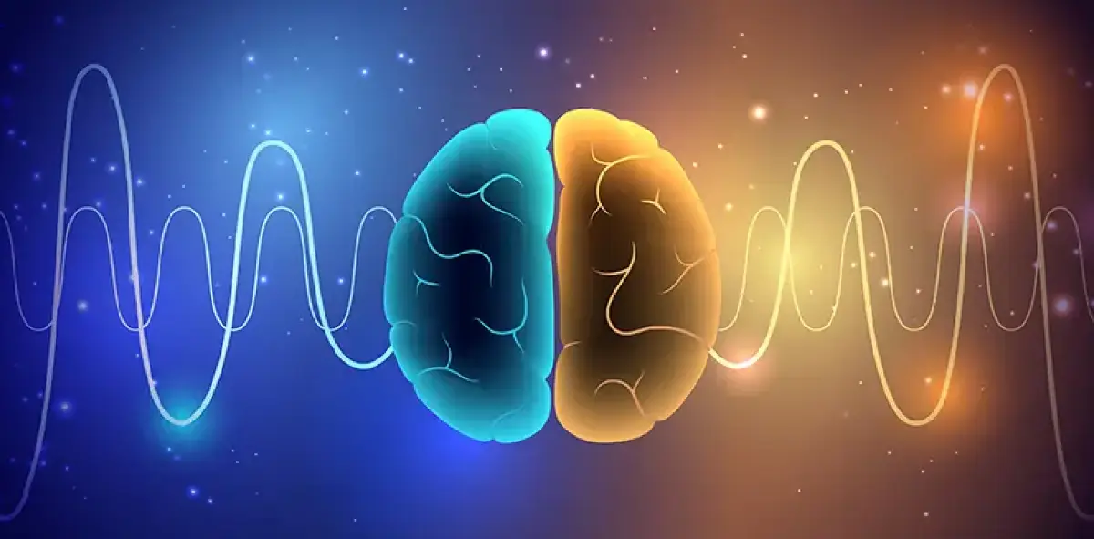 ApogeeNeuro — Hypnotherapy & NLP in S Niagara St, Denver