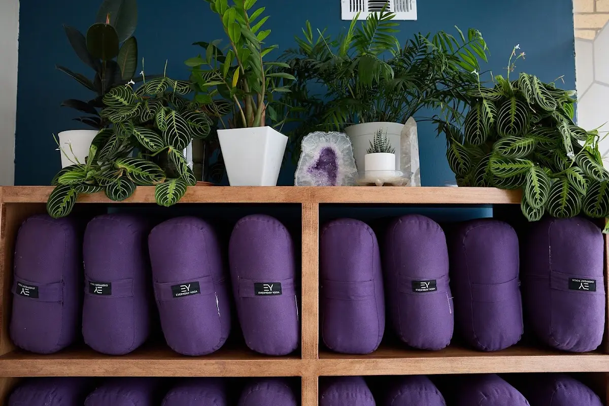 Better Buzz Yoga & Wellness — Yoga, Tai Chi & Pilates in W 44th Ave, Denver