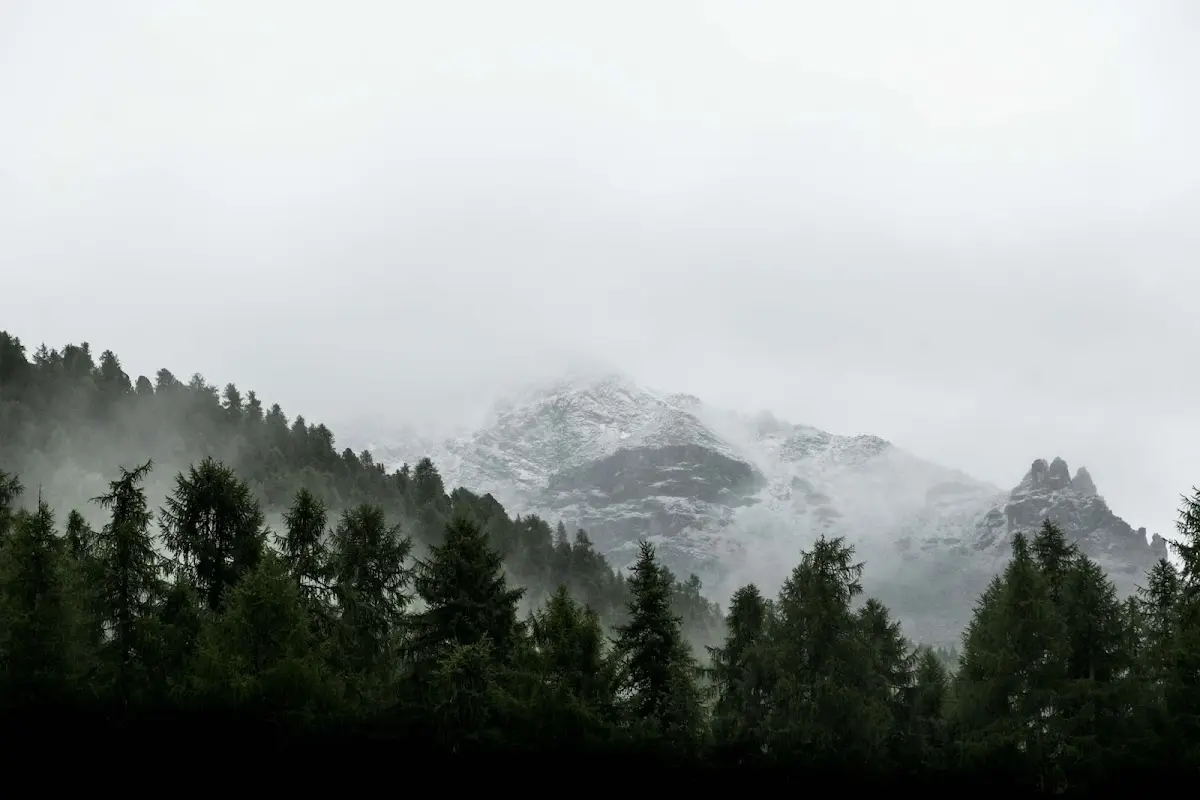 Scott Treas Life Coaching and Therapy — Counsellors & Mentors in Littleton, Denver