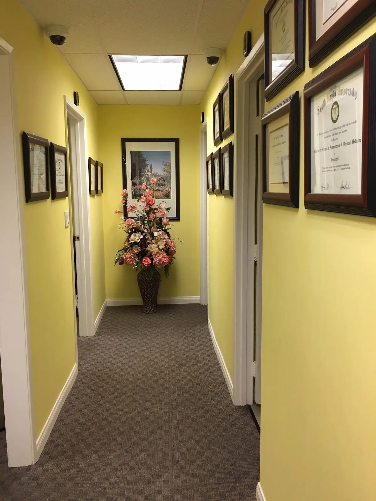 Acupuncture for USA — Acupuncture in Long Beach, Los Angeles