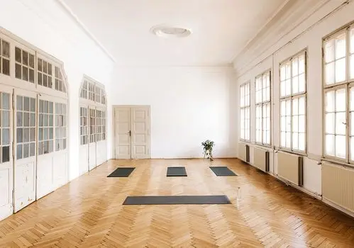 Ayurveda Yoga & Vedic Sciences College and Clinic — Yoga, Tai Chi & Pilates in S Kenwood St, Los Angeles
