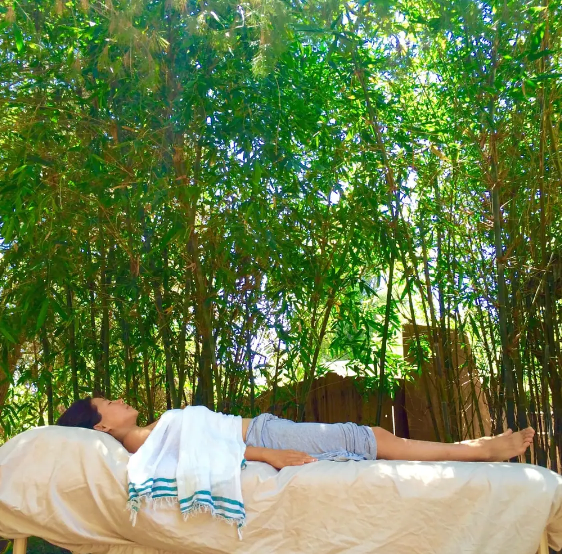 Azita Moallef Functional Medicine & Integrative Healing Arts — Reiki & Energy Medicine in Old Topanga Canyon Rd, Los Angeles
