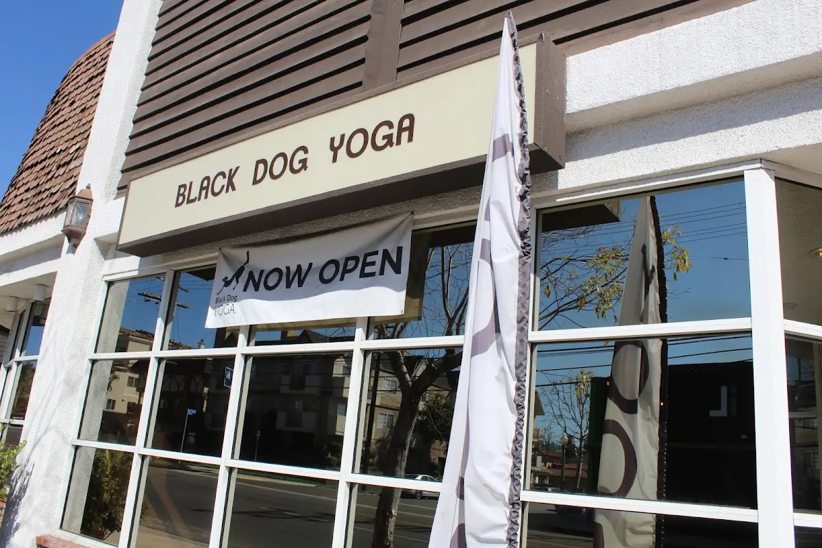 Black Dog Yoga — Yoga, Tai Chi & Pilates in Moorpark St, Los Angeles