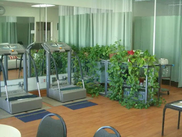 Bon Acupuncture & Moxa Clinic — Acupuncture in Torrance, Los Angeles