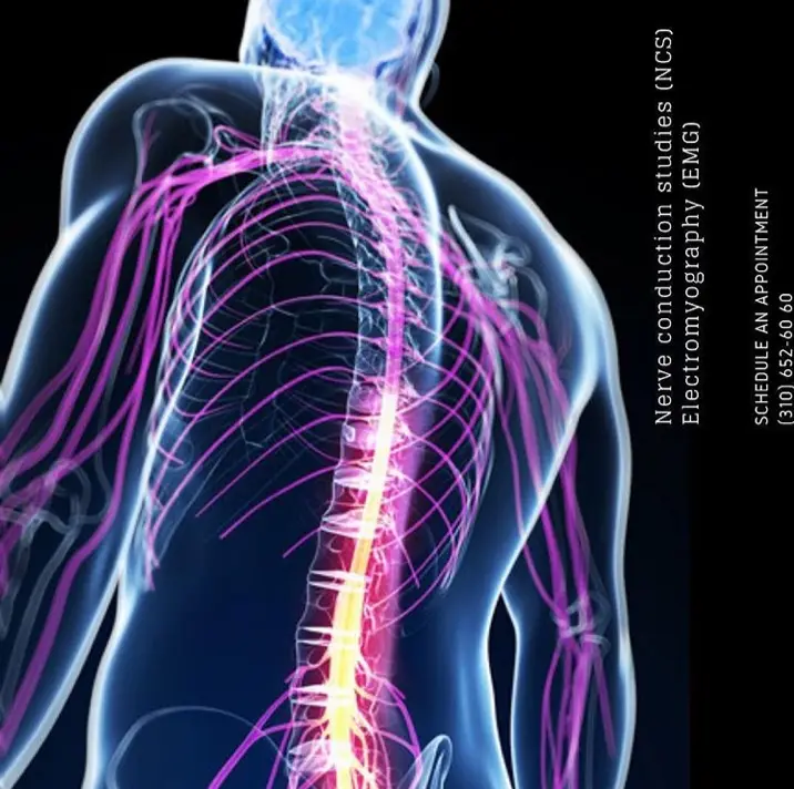 California Sports and Rehab — Physical & Rehabilitation Therapy in S Hill St, Los Angeles