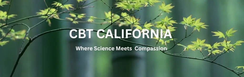 CBT California - CBT South Bay (Torrance) Cognitive Behavioral Therapy — Psychotherapy in Torrance, Los Angeles