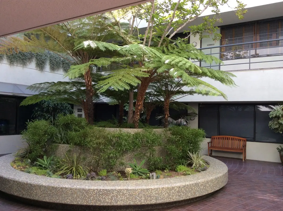 Chia Acupuncture, Herbology and Wellness — Acupuncture in Reseda, Los Angeles