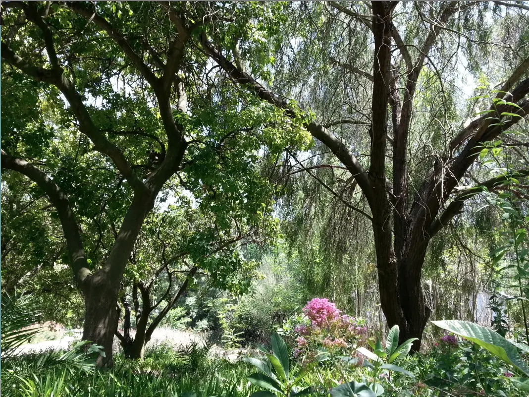 Dr. Carol Francis Psychotherapy, Counseling, Coaching — Hypnotherapy & NLP in Torrance Blvd Ste 160, Los Angeles