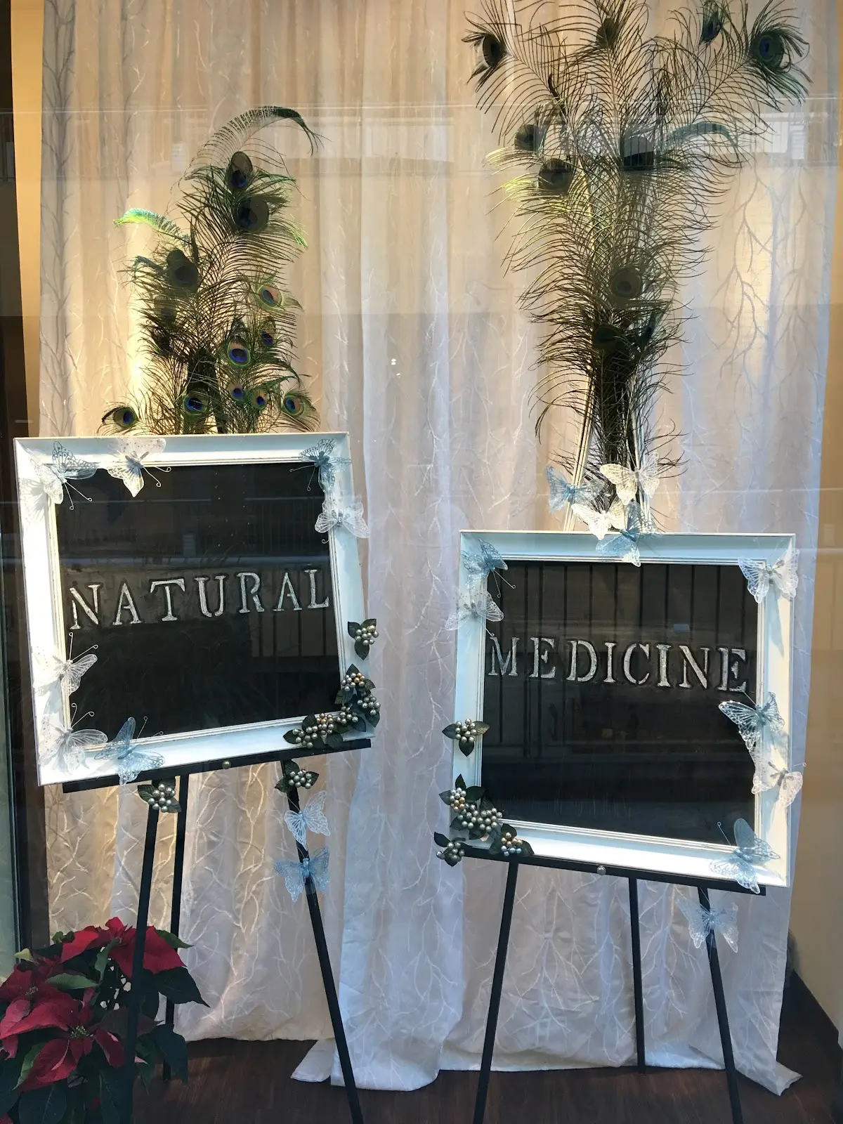 Dr. Pat Shu, ND — Naturopathic Medicine in Rolling Hills Estates, Los Angeles