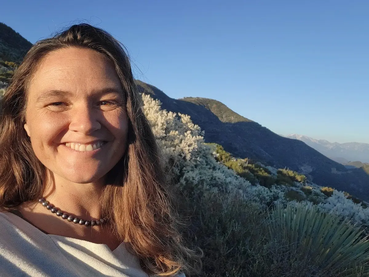 Four Seasons Acupuncture & Healing Arts — Acupuncture in Long Beach, Los Angeles