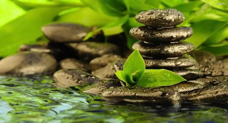 Glo Reiki Healing — Reiki & Energy Medicine in Yolanda Ave #104, Los Angeles