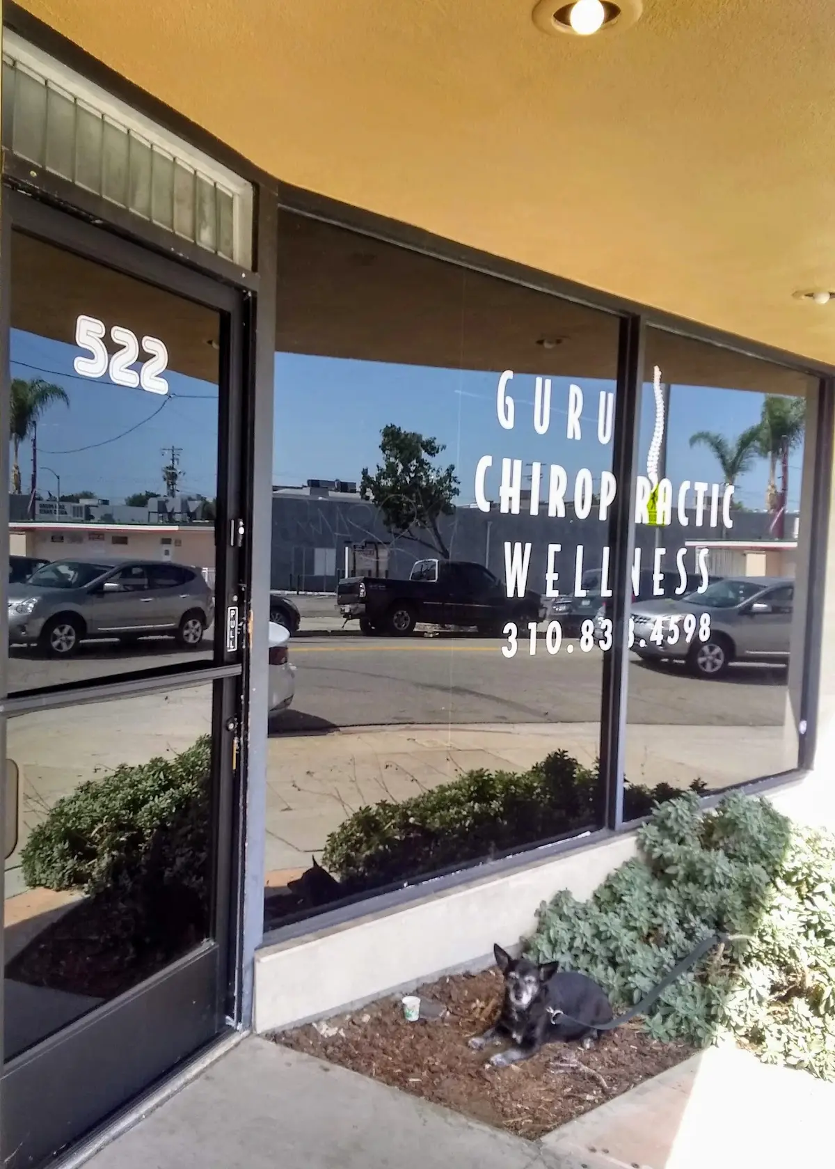 Guru Chiropractic — Chiropractic in San Pedro, Los Angeles