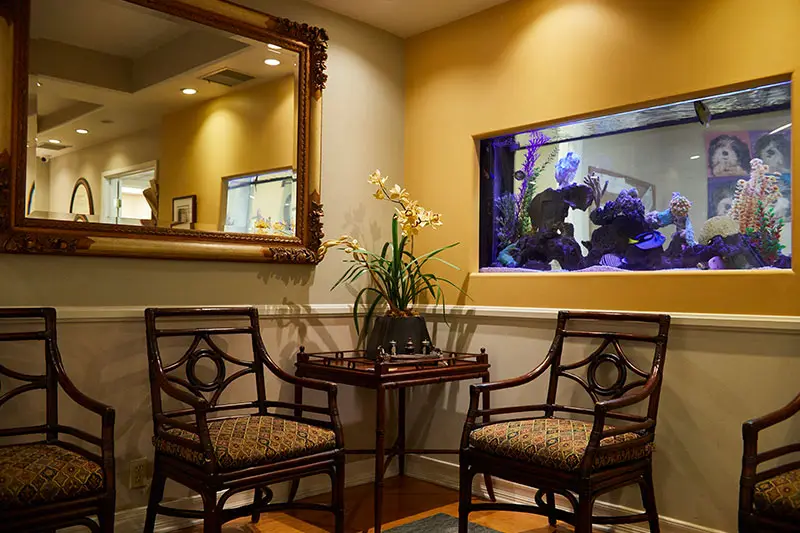 Holistic Dental Wellness Center - Iman Abdeshahian, DMD — Hydropathy, Balneotherapy & SPA in E Village Rd, Los Angeles