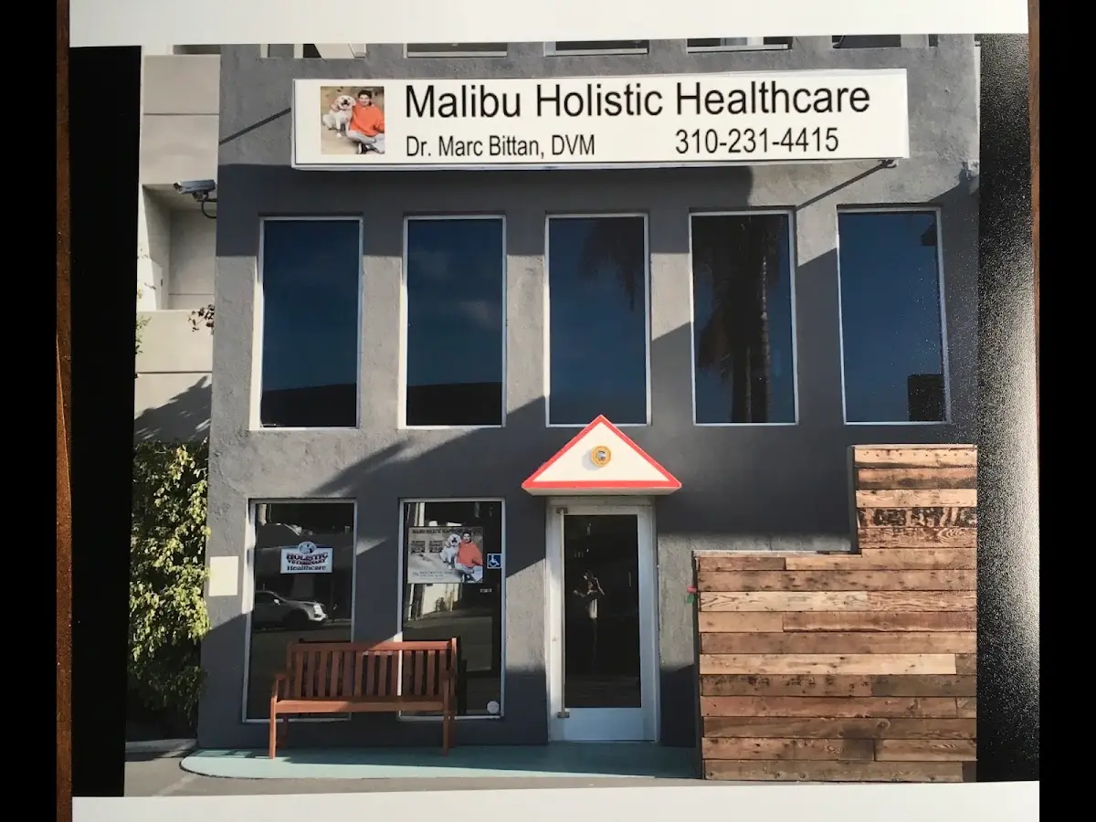 Holistic Veterinary Healthcare — Naturopathic Medicine in Malibu, Los Angeles