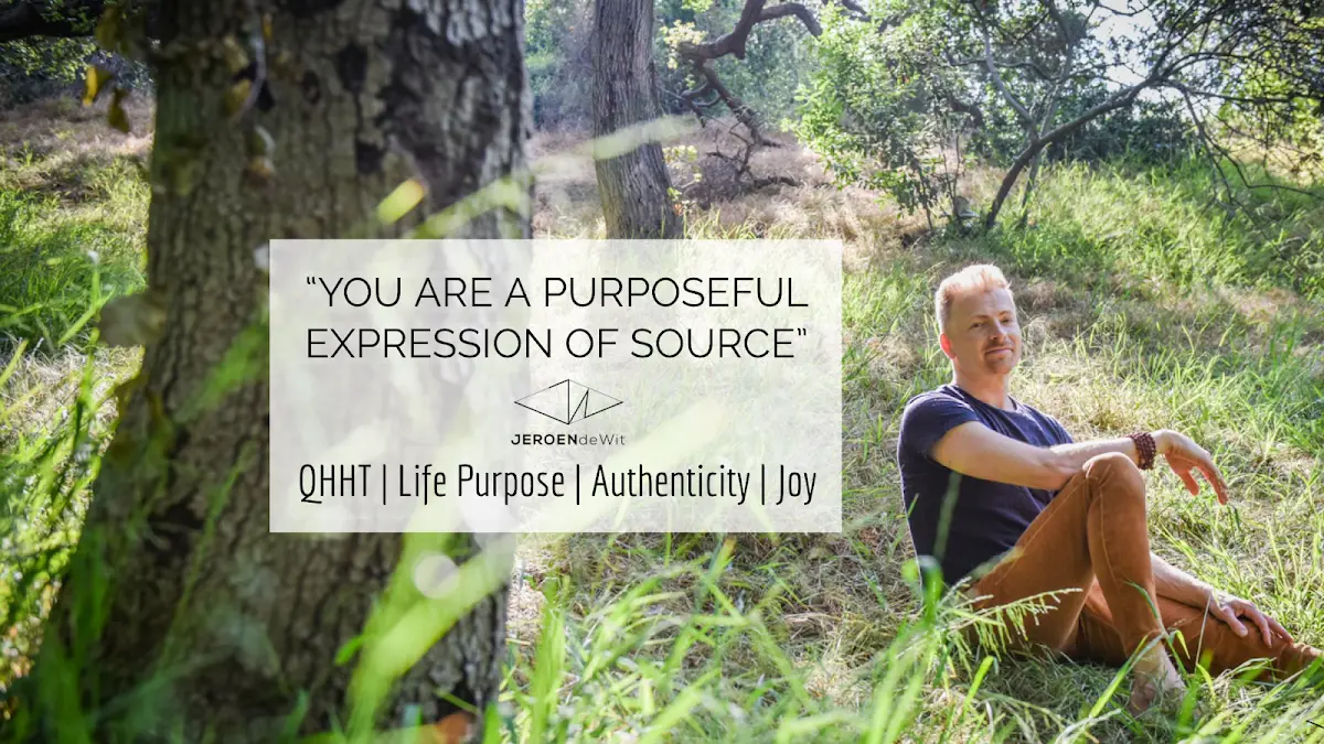 Jeroen de Wit QHHT — Reiki & Energy Medicine in Babcock Ave, Los Angeles