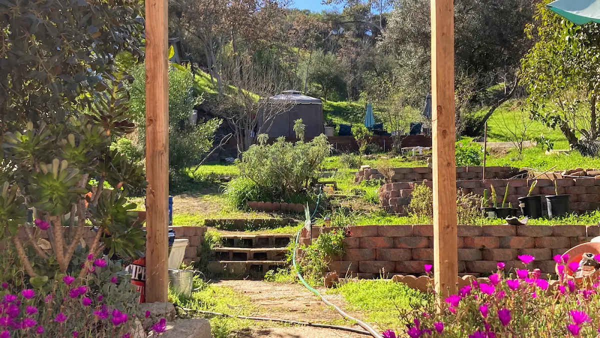 L.A. Healer — Reiki & Energy Medicine in Amador St, Los Angeles
