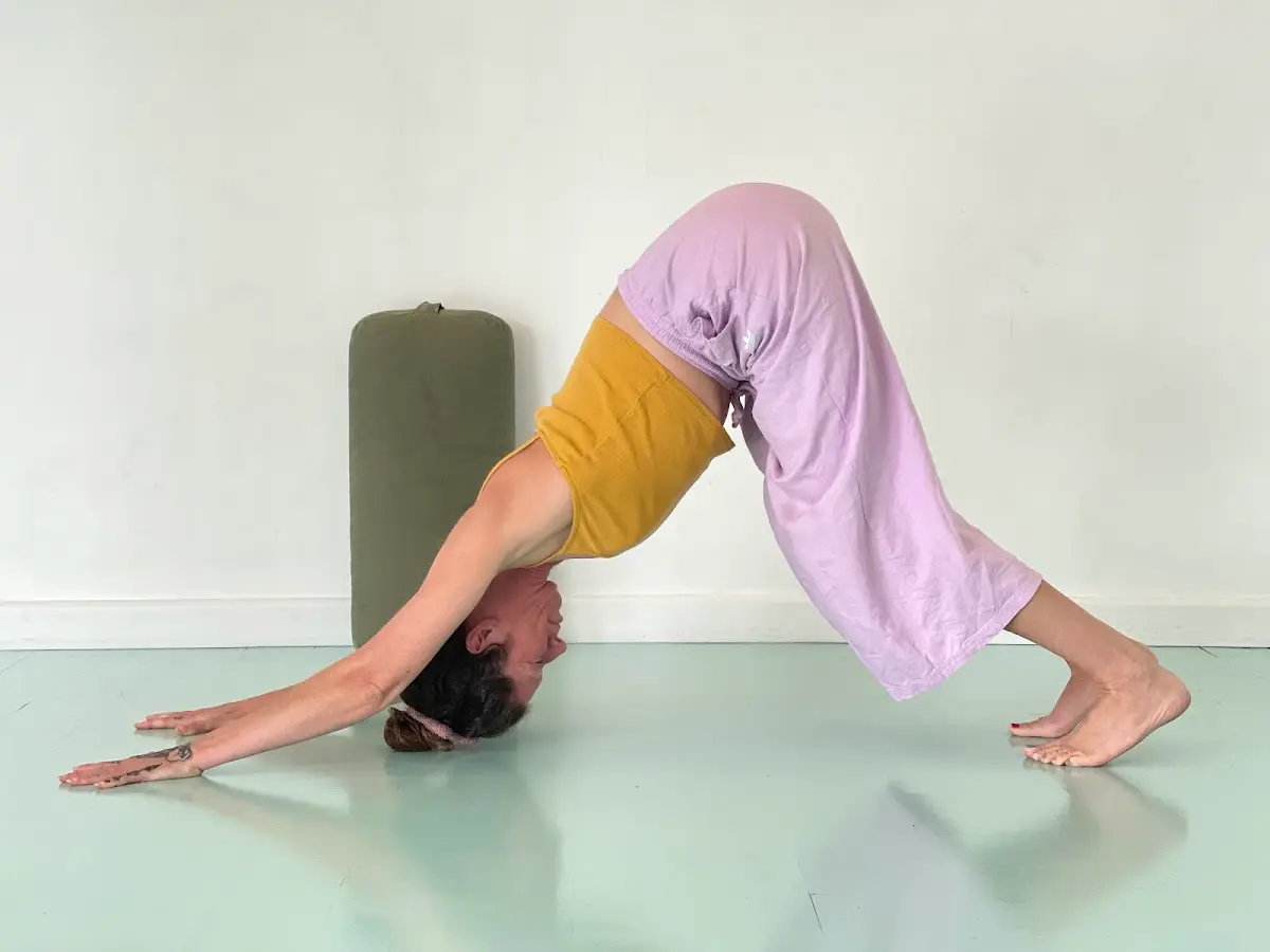 Light and Space Yoga — Yoga, Tai Chi & Pilates in Sunset Blvd O, Los Angeles