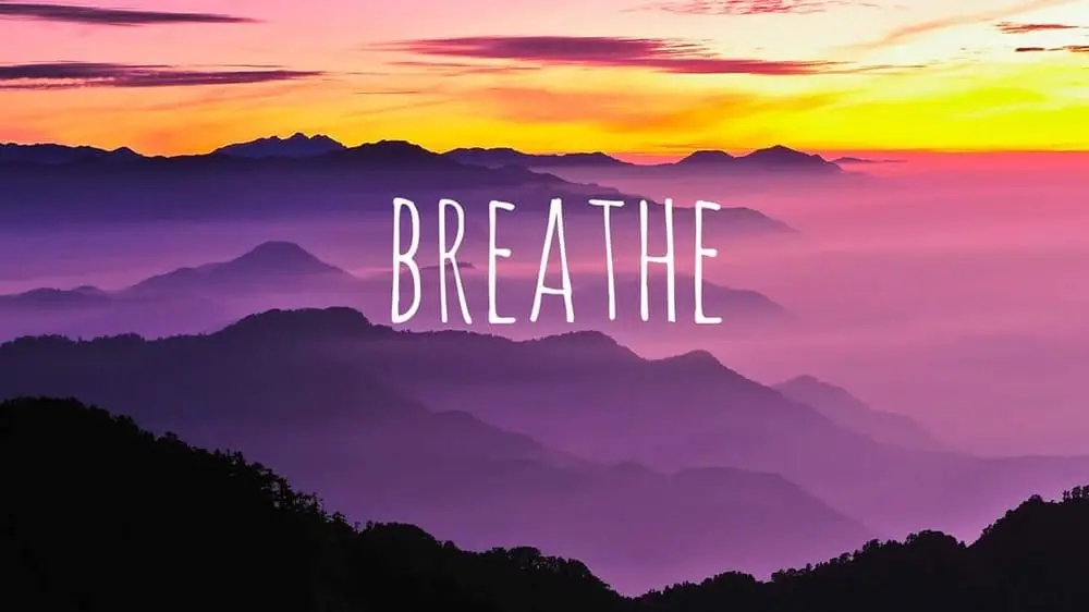Nicole Abadi LMFT — Psychotherapy in Long Beach, Los Angeles