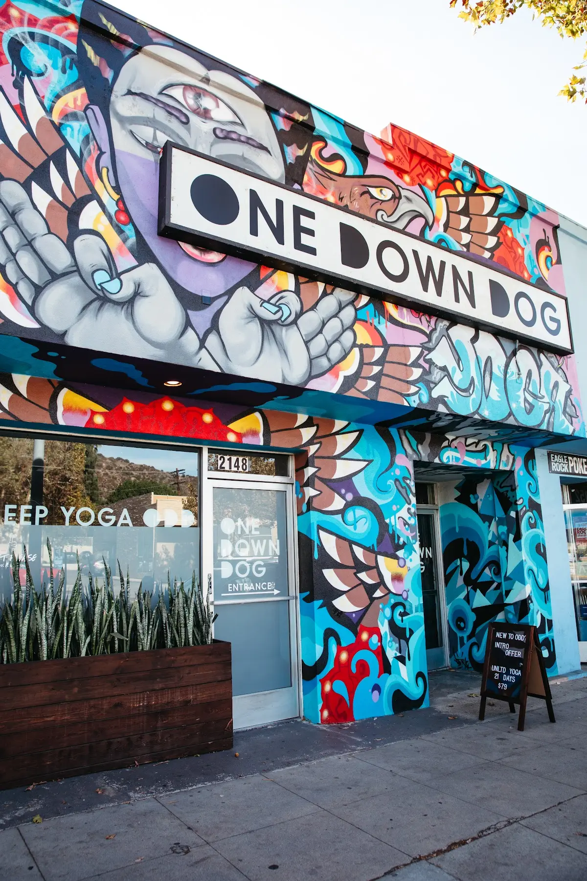 One Down Dog | Yoga + Fitness Studio — Yoga, Tai Chi & Pilates in Colorado Blvd, Los Angeles