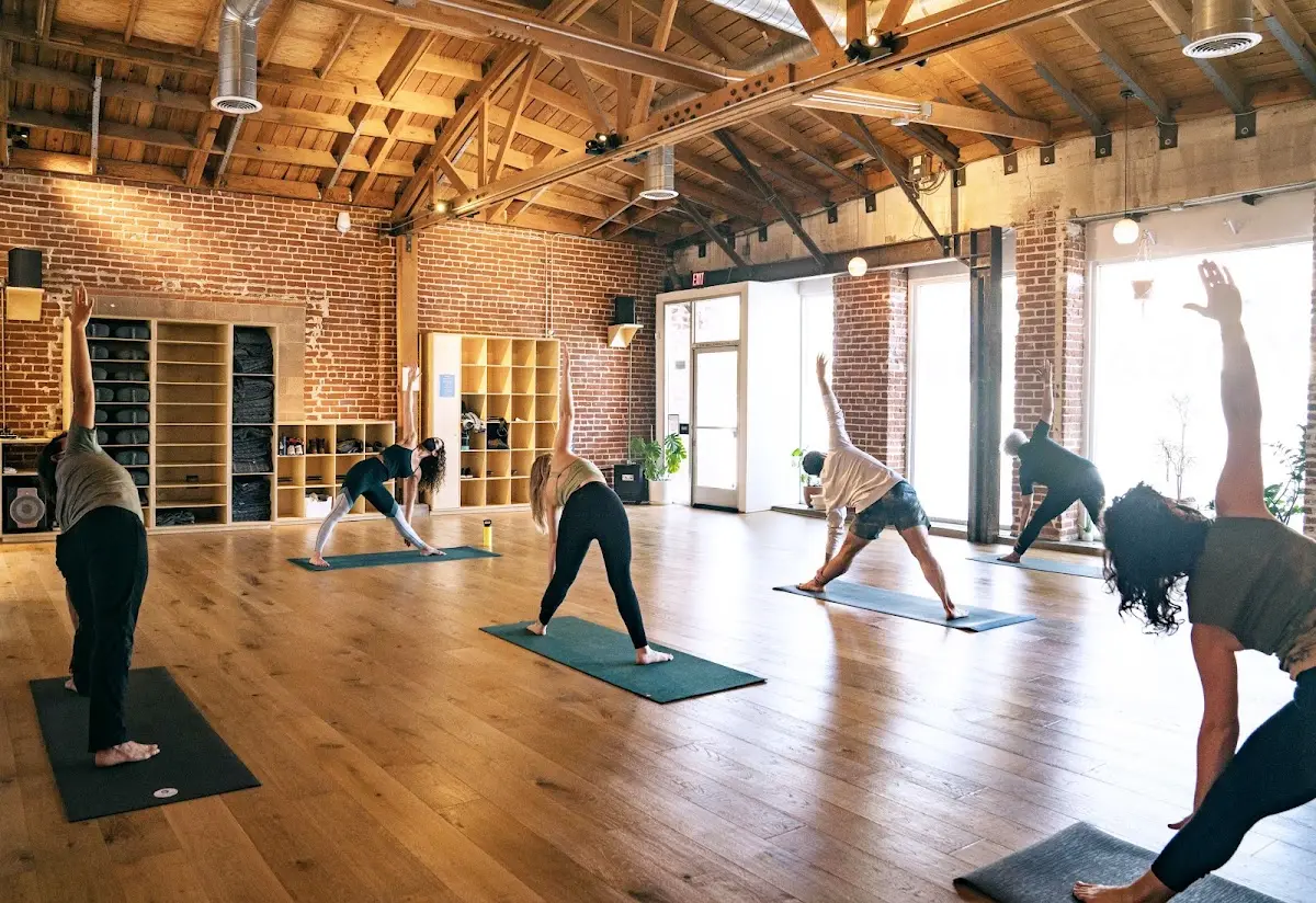 One Down Dog | Yoga + Fitness Studio — Yoga, Tai Chi & Pilates in Glendale Blvd, Los Angeles