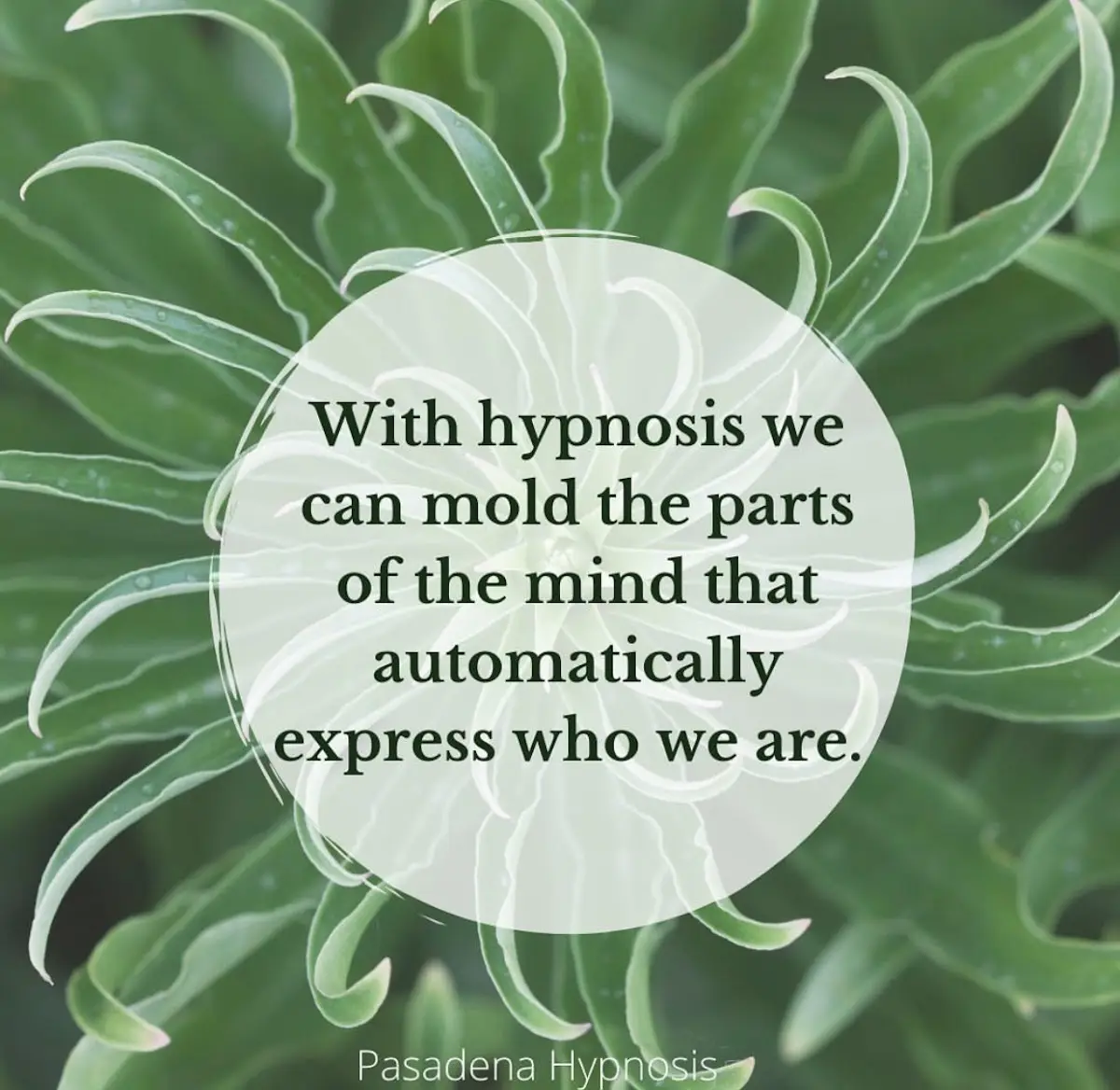 Pasadena Hypnosis LLC — Hypnotherapy & NLP in South Pasadena, Los Angeles