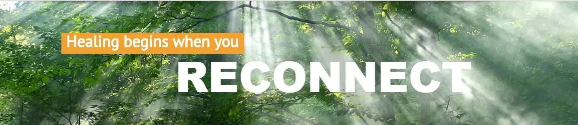Reconnect Integrative Trauma Treatment Center — Psychotherapy in Alma Real Dr Unit 311, Los Angeles