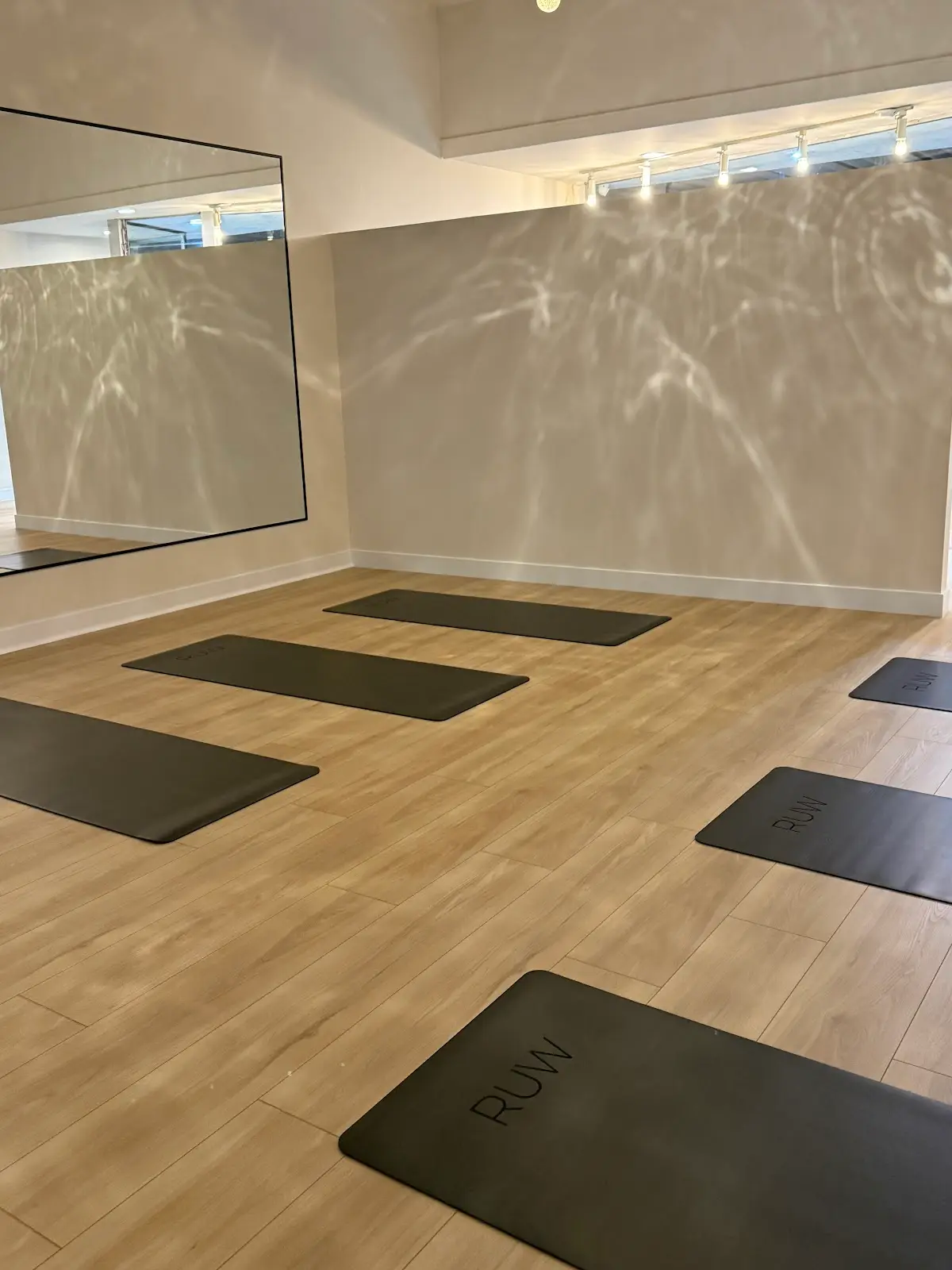 Rise Up Wellness — Yoga, Tai Chi & Pilates in Honolulu Ave, Los Angeles