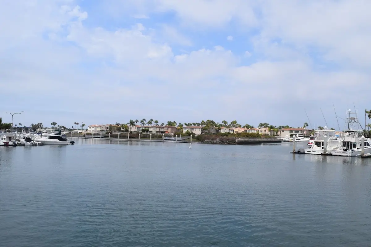 Sano Counseling Center Long Beach — Psychotherapy in Pacific Coast Hwy Ste D, Los Angeles