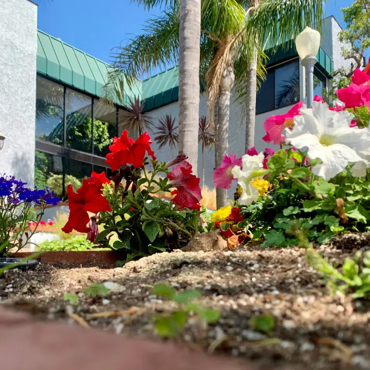 SARAH WHITE, M.S., M.F.T. — Psychotherapy in Torrance, Los Angeles