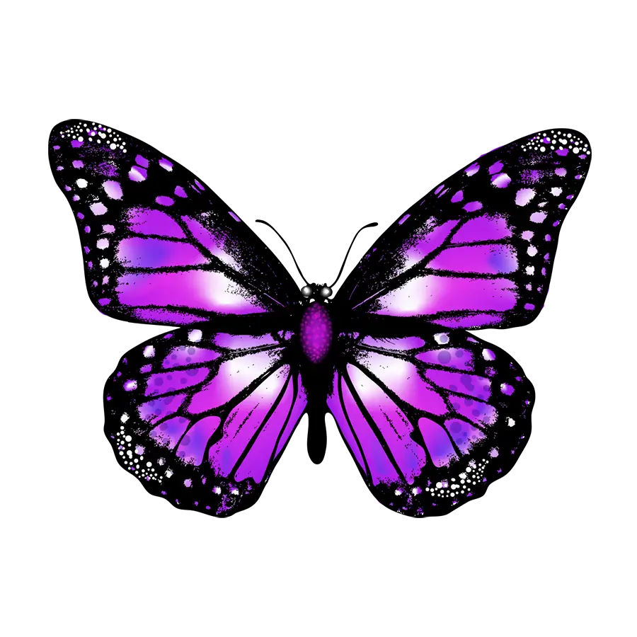 Shift N Evolve — Reiki & Energy Medicine in Ask for Ligia, Los Angeles