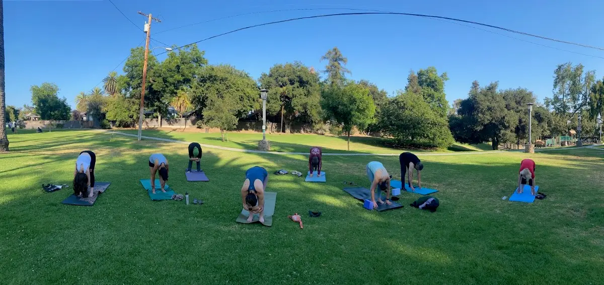 The Root Cause Yoga — Yoga, Tai Chi & Pilates in Pasadena, Los Angeles