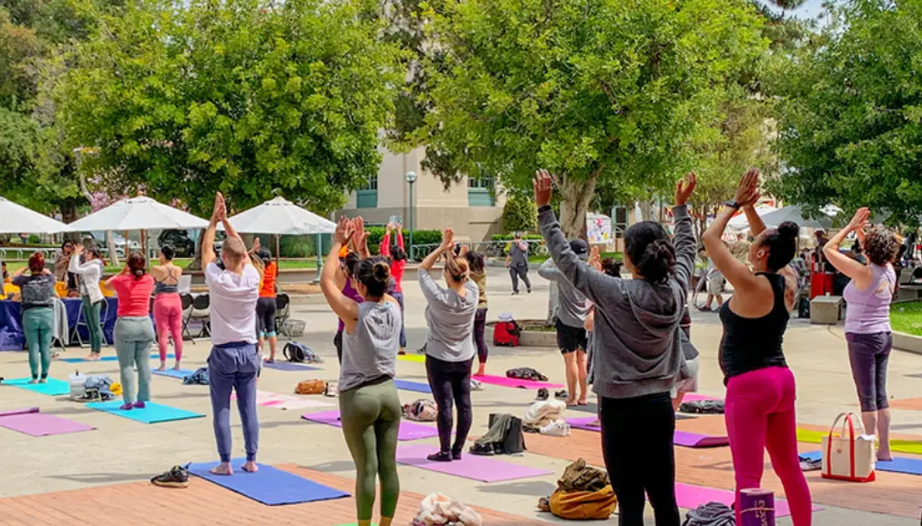 Yoga Instructor Training, Pasadena City College — Yoga, Tai Chi & Pilates in Pasadena, Los Angeles