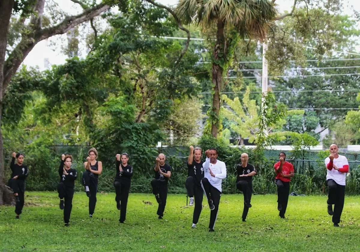 ADDIS KUNG FU ACADEMY — Yoga, Tai Chi & Pilates in NE 153rd St, Miami