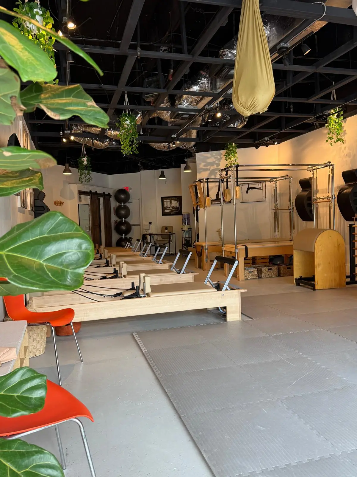 Art In Movement Pilates Studio — Yoga, Tai Chi & Pilates in SW 3rd Ave, Miami