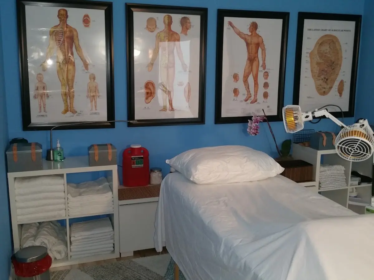 body & healing evolution — Acupuncture in Biscayne Blvd, Miami