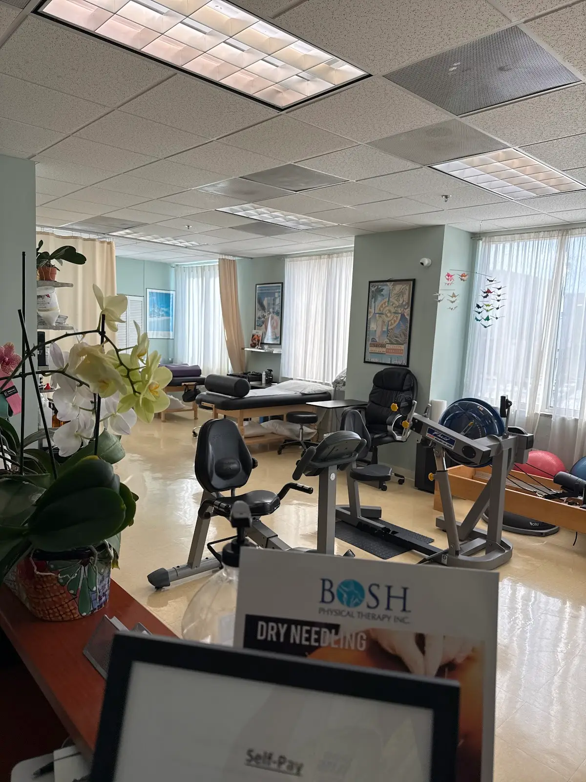 BOSH Physical Therapy, Inc. — Physical & Rehabilitation Therapy in Miami Beach, Miami