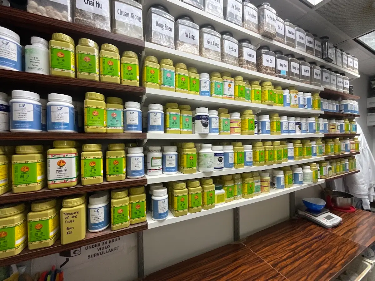 Classical Acupuncture for Chronic Pain & Stress Support in South Miami — Acupuncture in S Dixie Hwy, Miami