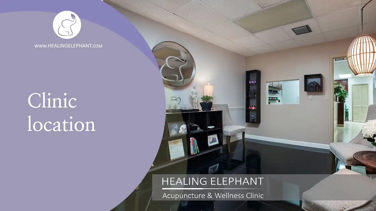 Healing Elephant — Acupuncture in Miami Shores, Miami