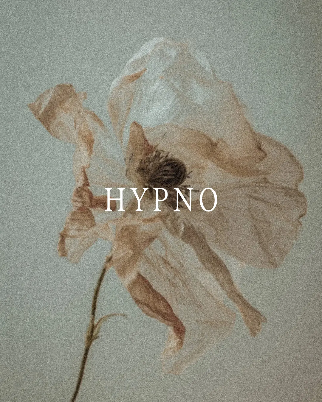 Hypnosomatics — Hypnotherapy & NLP in Miami Beach, Miami