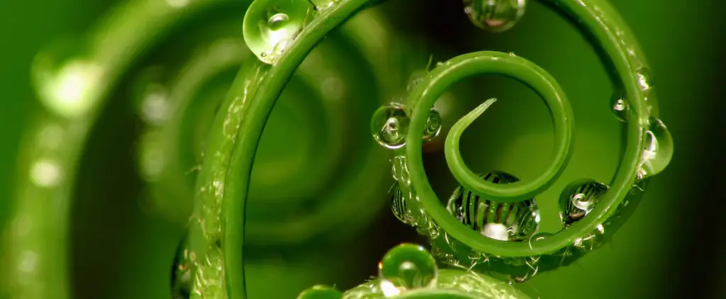 Inner Genius Hypnosis & NLP Life Coaching — Hypnotherapy & NLP in 6th St APT 32, Miami