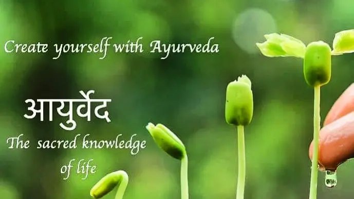 Māyurved Āyurveda — Ayurveda in Miami Lakes, Miami