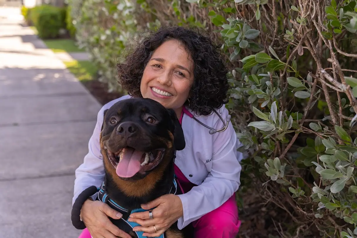 Martin Integrative Animal Clinic — Naturopathic Medicine in NW 112th Ave, Miami