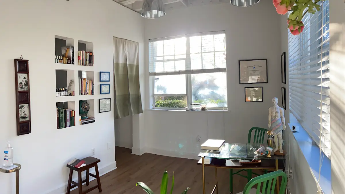 Miami Beach Acupuncture, Dr. Anna Piva, AP, DACM, LAc. — Acupuncture in Miami Beach, Miami